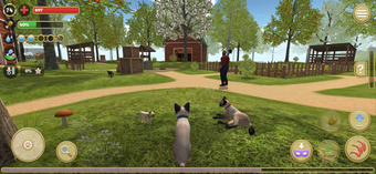 Image 3 for Cat Simulator 2020