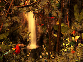 Image 0 for 3D Rain Forest Adventure