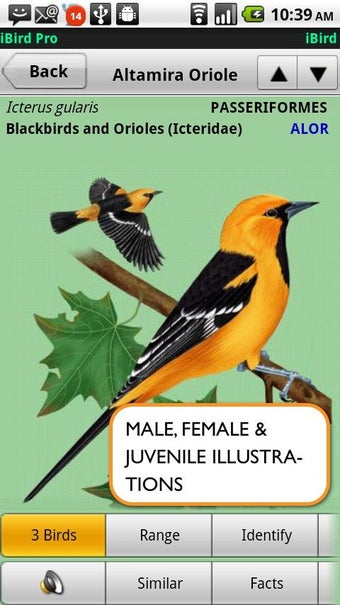Image 0 for iBird Pro