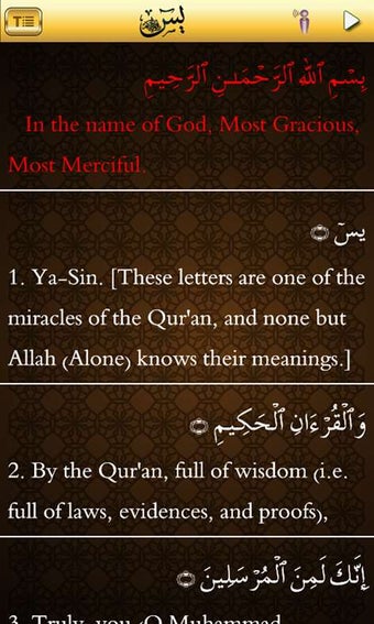 Imagen 3 para Surah Yaseen for Windows …