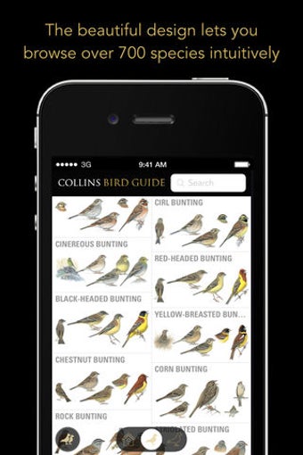 Imagen 0 para Collins Bird Guide The Ul…