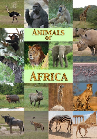 Image 0 for Animals Of Africa
