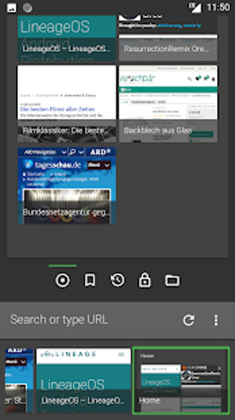 Image 2 for FOSS Browser