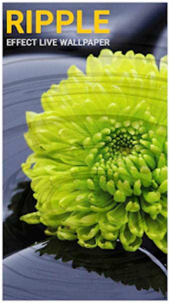 Image 0 for Ripple effect live wallpa…