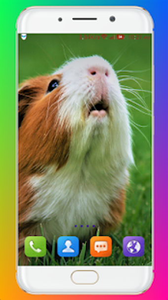 Image 0 for Guinea Pig Wallpaper