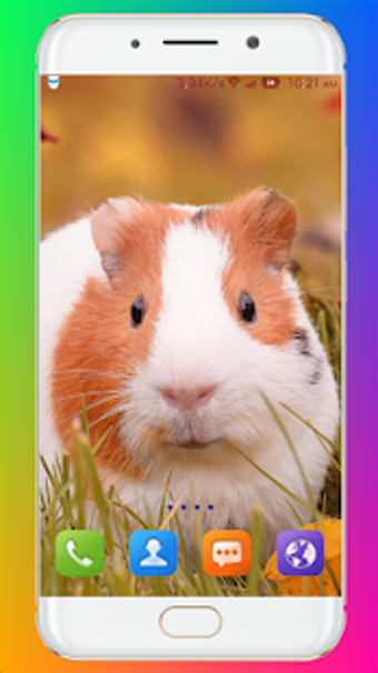Image 1 for Guinea Pig Wallpaper