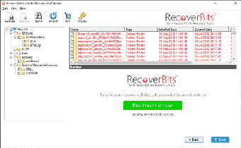 Image 0 for RecoverBits Recycle Bin R…
