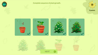 Image 0 for Arloon Plants