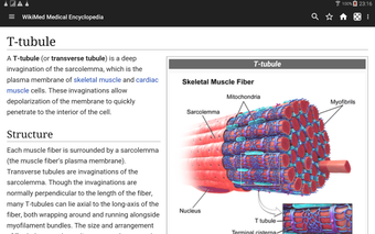 Imagen 1 para WikiMed - Offline Medical…