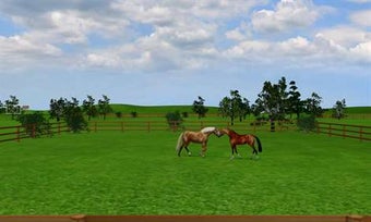 Image 2 for Jumpy Horse Breeding for …