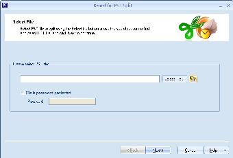 Image 0 for Kernel for PST Split