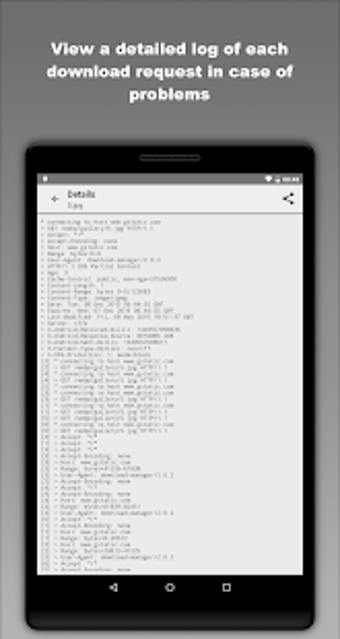 Imagen 3 para Download Manager