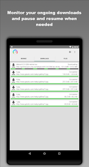 Imagen 2 para Download Manager