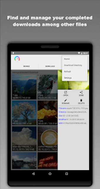 Imagen 0 para Download Manager