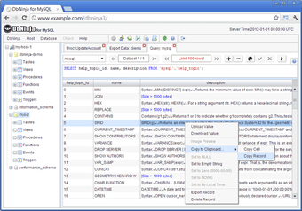 Image 2 for DbNinja MySQL Manager
