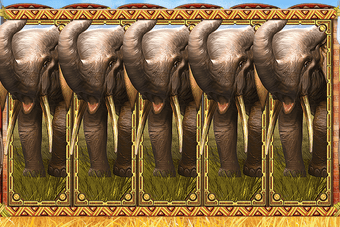 Image 2 for Ape About Slots - Best Ne…