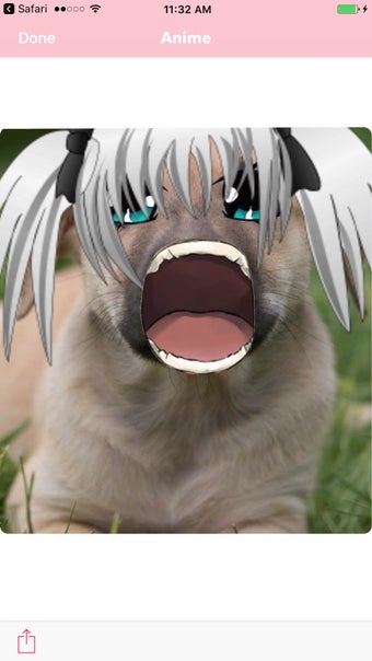 Imagen 0 para Anime Face Changer
