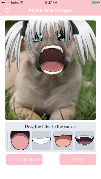 Imagen 1 para Anime Face Changer