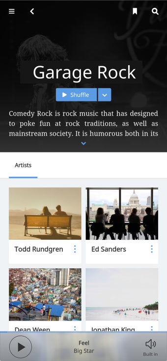 Image 0 for Roon Remote