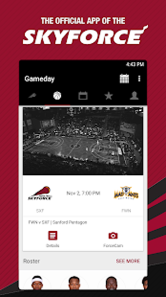 Image 3 for Sioux Falls Skyforce
