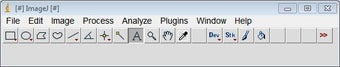Image 1 for ImageJ (32-bit)
