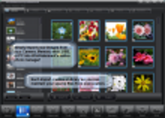Imagen 0 para WinWatermark Professional