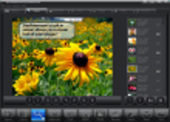 Imagen 1 para WinWatermark Professional