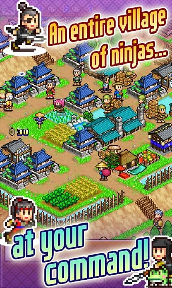 Imagen 0 para Ninja Village
