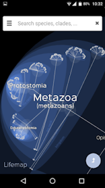 Image 3 for Lifemap - Tree of Life
