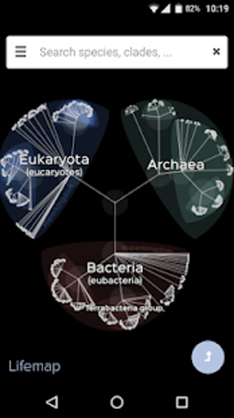 Image 2 for Lifemap - Tree of Life