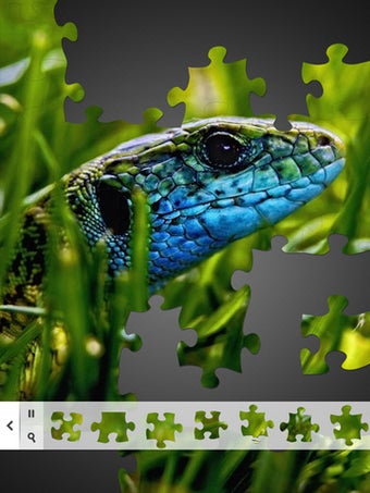 Image 0 for Jigsaw Puzzle of the Day …