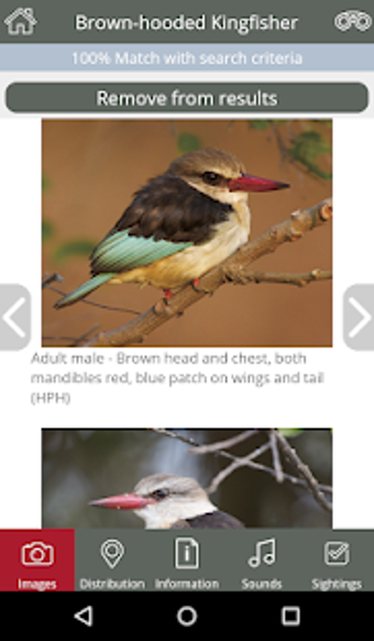 Imagen 0 para BirdPro