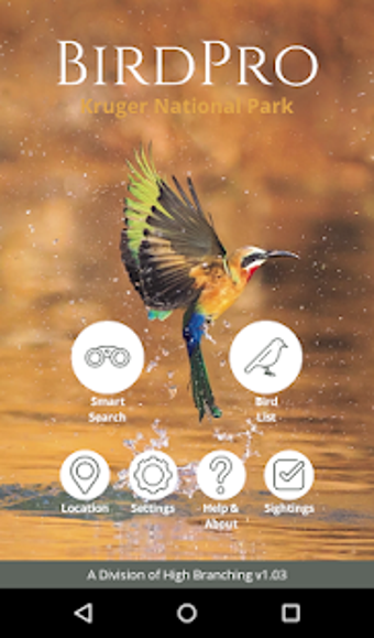Imagen 3 para BirdPro