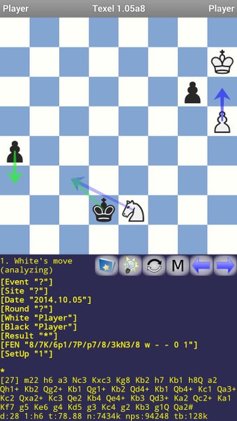 Imagen 0 para Texel Chess Engine