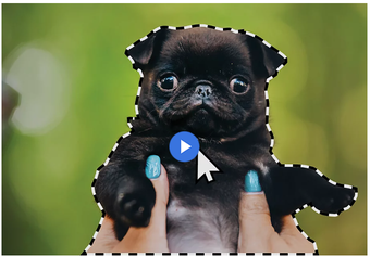Image 0 for Adobe Photoshop Elements