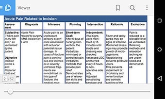 Imagen 0 para Nursing Care Plan NANDA T…
