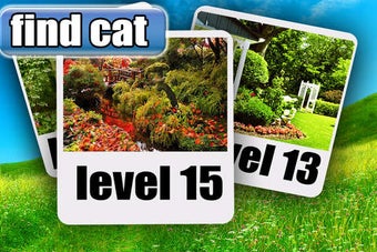 Image 0 for Find Cat