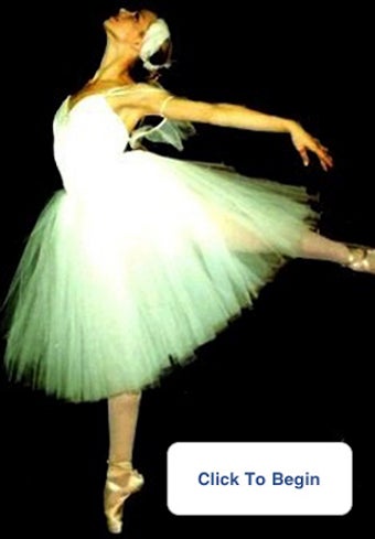 Image 0 for Ballet for Beginners