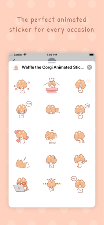 Imagen 1 para Waffle the Corgi Animated