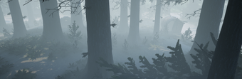 Image 0 for Foggy Woods for MORDHAU