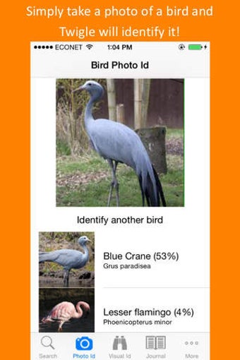 Image 0 for Twigle Birds Field Guide