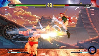 Image 0 for MMA Real Fight: Fighting …
