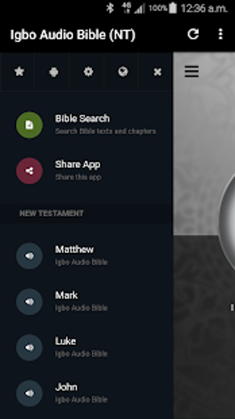 Image 0 for Igbo Audio Bible (NT Audi…