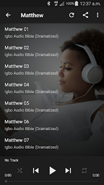 Image 1 for Igbo Audio Bible (NT Audi…