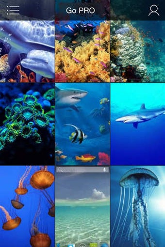 Image 0 for Underwater Species Wallpa…
