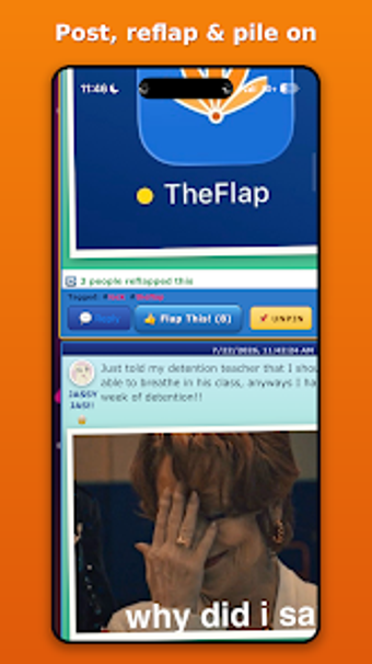 Image 0 for TheFlap