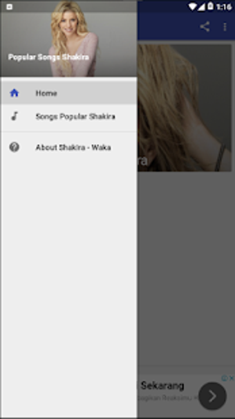 Image 1 for Shakira - Waka Waka