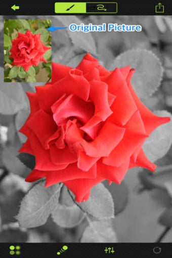 Image 0 for Touch Color Agent Pro