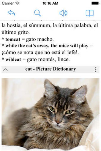 Image 0 for Spanish English Dictionar…