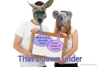 Image 1 for Look Like Puppy or Koala